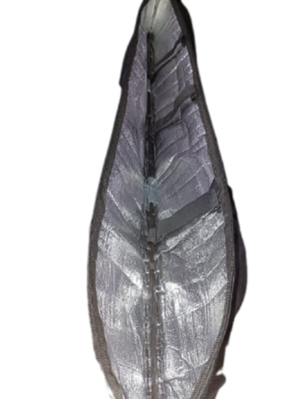 Lulav Case